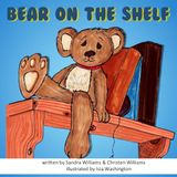 Bear on the Shelf