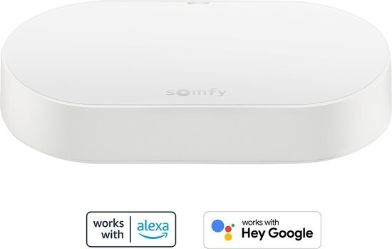 Somfy 1870755 - Connectiviteitsset | Voor het besturen van motoren en verlichting met een smartphone | Compatibel met io & RTS| Spraakbesturing via Google Assistant, Amazon Alexa, HomeKit