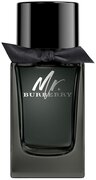 Burberry Eau de Parfum Spray eau de parfum / 100 ml / heren