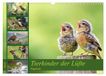Tierkinder Calvendo Tierkinder der Lüfte - Vogelwelt (Wandkalender 2027 DIN A3 quer), CALVENDO Monatskalender