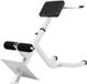 Gorilla Sports Hyperextensie Bank - Rugtrainer - roman chair - Blanc