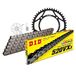Kettingset DID Kettingset staal 520VX3 / 106 eindeloos voor Yamaha XT E Tenere 600 cc Bj. 1989-1996