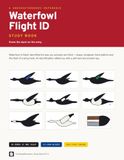 Waterfowl Flight ID Study Book: Know the Duck on the Wing — 38 Ducks, Geese and Swans by Silhouette, Wing Mark and Flock Pattern, with a 67-Item Self-Test and Answer Keys