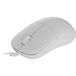 Endgame Gear XM2 8k v2 Souris de jeu Neige 6 touches 30000 dpi