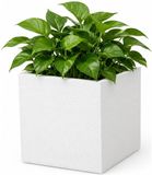 eda plastiques PLASTIC EDA Graphit Vierkant bloemblad - 57 L - 49,5 x 49,5 x 49,5 cm - Witte ceruse