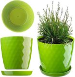Merkloos Bloempot met Schotel 12 cm Groen