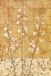 Chris Donovan Kunstdruk - Blossoms in Gold II 62x93cm