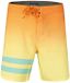Hurley Phantom Block Party 18'' Short de bain multicolore hommes