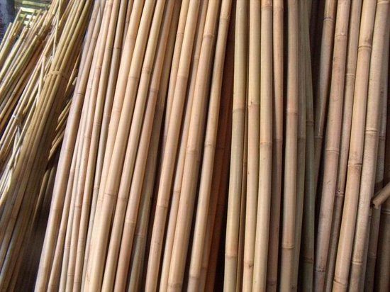 Intergard Bamboestokken bamboepaal tonkin tonkinstokken 180cm 60/70mm per 4 stuks