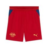 PUMA Sportbroek 'RB Leipzig' navy / oranje / rood