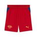 PUMA Sportbroek 'RB Leipzig' navy / oranje / rood