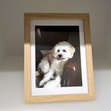Zep Houten Fotolijst Licht Bruin 40 x 50 cm