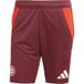 Adidas Short d'entraînement FC Bayern Munich 24/25 Tiro