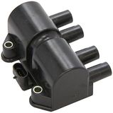 Delphi DS20013-12B1 Bobine