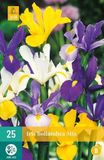 jub X 25 Iris hollandica mix bloembollen