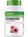Vit4ever Echinacea - Premium Extractlijn - 10:1 Hooggedoseerd - 5000mg per Tablet - Plantaardig & Zuiver