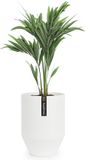 Fox & Fern Bloempot met stop, Bloempot groot voor binnen/buiten, Sierpot UV- & vorstbestendig, Polystone-bloempotten wit, Bloempot 25 cm diameter, Grote plantenpot voor kamerplanten