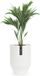 Fox & Fern Bloempot met stop, Bloempot groot voor binnen/buiten, Sierpot UV- & vorstbestendig, Polystone-bloempotten wit, Bloempot 25 cm diameter, Grote plantenpot voor kamerplanten