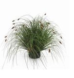 Buitengewoon Boet Kunstplant Kattestaart Mini - 55 cm