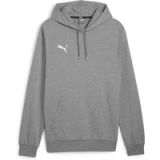 Puma Hoodie Teamgoal Casuals