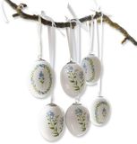 LOBERON Paasei set van 6 Fierolla wit/blauw