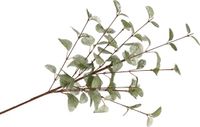 DK Design Fleur artificielle Eucalyptus branche Soie - 72 cm - Jade vert
