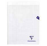 Clairefontaine 393311C Geniet Schrift Mimesys Kleurloos - 24x32 cm - 48 Pagina's Grote Ruitjes - Wit Papier 90 g - Polypro Omslag