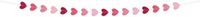 Folat Slinger Papier Mini Hartjes Rood/Roze 3 meter