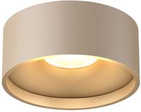 Artdelight Oran Plafondlamp Champagne Aluminium Rond 1 Lichtpunt Dimbaar IP54