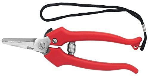 Clauss 33403 5.75-Inch Steel Floral Cutter - Red