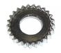 Campagnolo 25-BR-RE021 tandschijf, zwart, eenheidsmaat