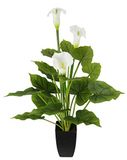 Kunstplant Calla Kunstplant in pot