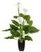 Kunstplant Calla Kunstplant in pot