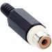 Lumberg XKTO 1-WH Connecteur de bus, droit Nombre de pôles : 2 Blanc 1 pièce(s)