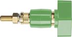 Schützinger Borne de piscine Vert 200 A 1 pièce(s)