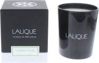 Lalique Bougie 190g - Osmanthus Himalaya