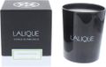 Lalique Bougie 190g - Osmanthus Himalaya