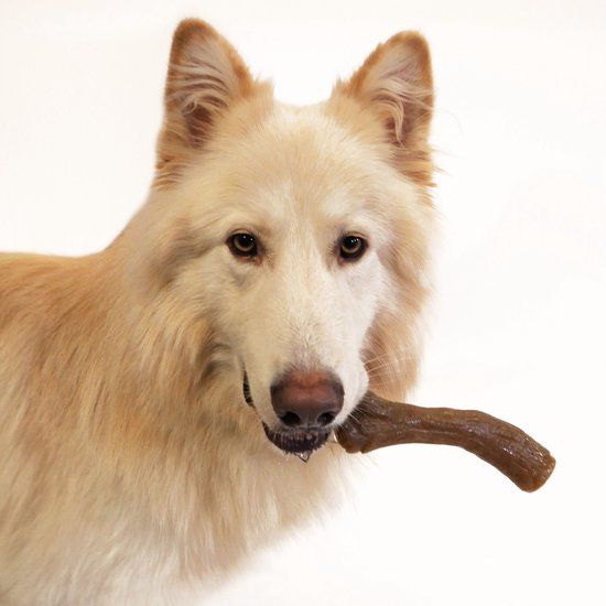 Nylabone Gourmet Stick Pindakaas - Hondenspeelgoed - X-Large