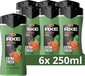 AXE Jungle Fresh 3-in-1 Douchegel - 6 x 250ml - Bodywash voor Mannen