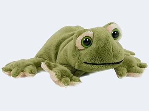 Knuffeldier schattige kikker 13 cm