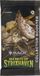 Magic: The Gathering - Secrets of Strixhaven Collector Booster Pack - EN