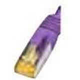 Wirewin - Verbindingskabel - RJ-45 (M) naar RJ-45 (M) - 25 m - CAT 6a - afgeschermd - violet