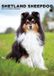 CalendarsRUs Shetland Sheepdog Calendrier A3 2027