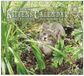 Legacy Kittens Kalender 2027 Wandkalender