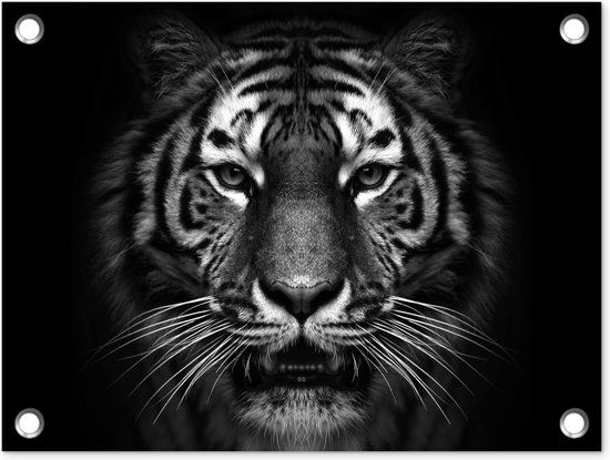GreatGardenPosters Tuin decoratie Tijger - 40x30 cm - Buitenposter