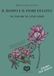 Il Rospo e il Fiore di Loto-The Toad and the Lotus Flower. Ediz. bilingue