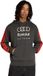 Adidas Performance Audi Revolut F1 Team Dna French Terry Hoodie Heren Zwart