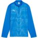 Puma teamGoal Graphic Training Top