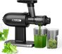 Extracteur de jus lent SJ-012