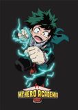 My Hero Academia Izuku Midoriya Polar Blanket